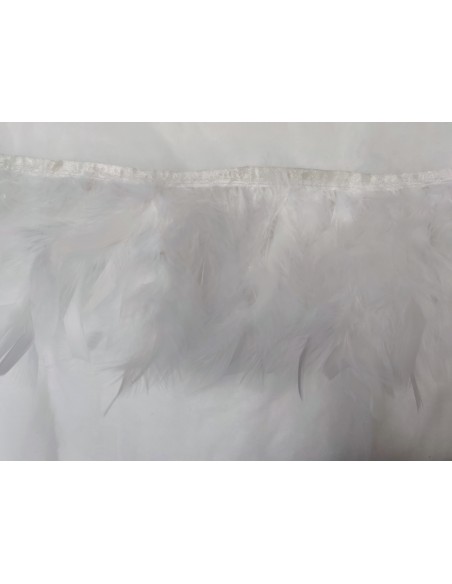 PLUMAS DE PAVO