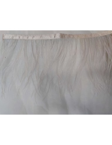 PLUMAS DE AVESTRUZ
