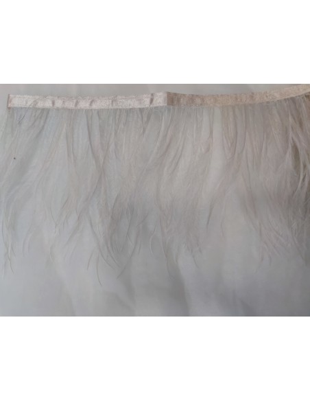 PLUMAS DE AVESTRUZ