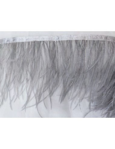 PLUMAS DE AVESTRUZ