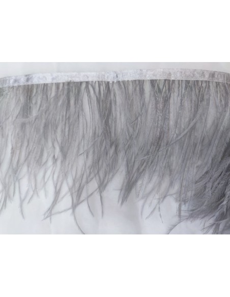 PLUMAS DE AVESTRUZ